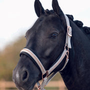 Licol pour poneys et chevaux HKM Rosegold Elegant