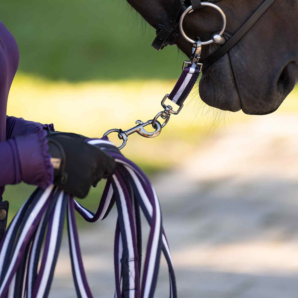 Longe de travail pour poneys et chevaux Imperial Riding prune-blanc-marine