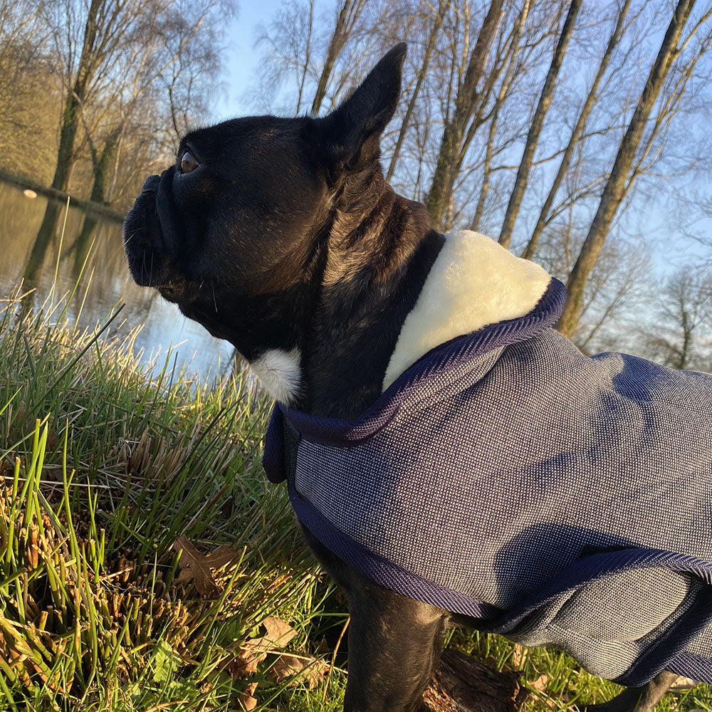 Manteau pour chien Canter doublé polaire avec col en mouton synthétique