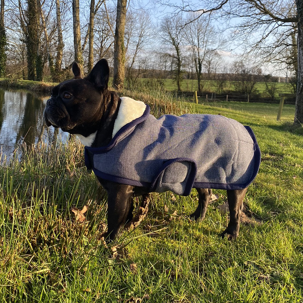 Manteau pour chien Canter doublé polaire avec col en mouton synthétique