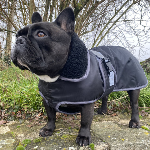 Manteau pour chien imperméable et doublé polaire HKM Bismark porté