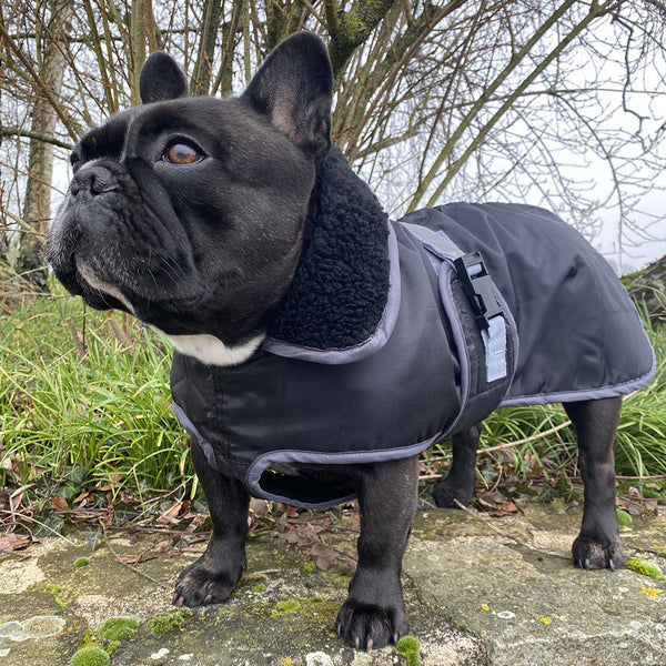 Grande Veste Imperméable Pour Chien, Vêtements D'hiver Pour Chiens De Taille Moyenne Et Grande, Manteau Labrador, Gilet De Berger Allemand