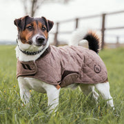 Manteau pour chien aux propriétés thermiques Back On Trach Haze beige porté