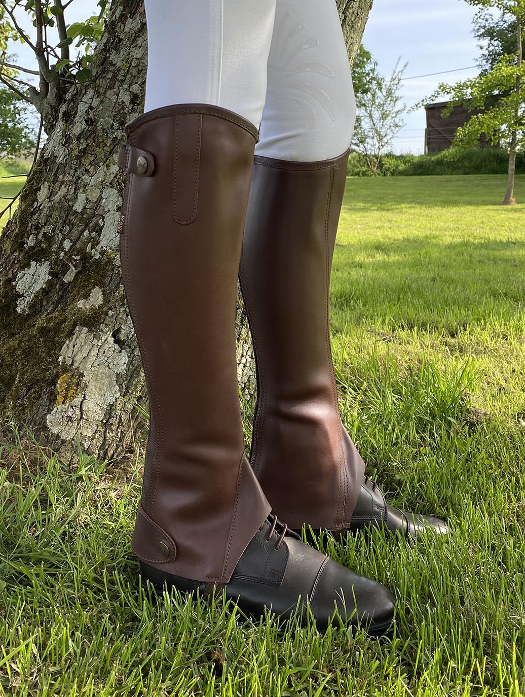 Ensemble boots et mini-chaps d'équitation Canter Roma marron