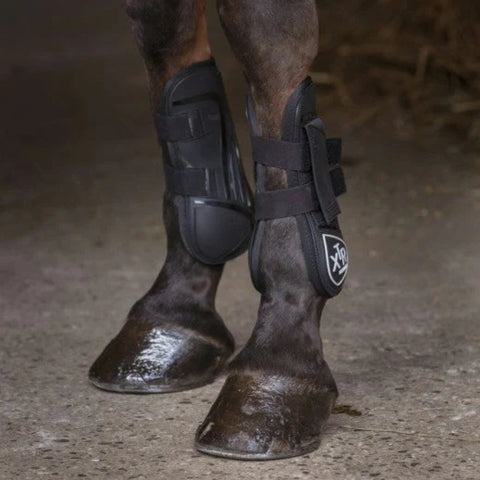 Protège-tendons pour poneys et chevaux Norton XTR velcro noir