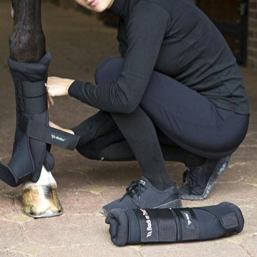 Cotons américains de remplacement pour les Stable Boots Back On Track Royal