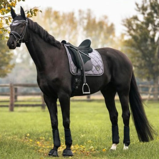 Tapis de selle aux propriétés thermiques pour chevaux Back On Track Haze gris modèle dressage porté